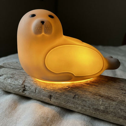 Colorful Sea Lion LED Night Light