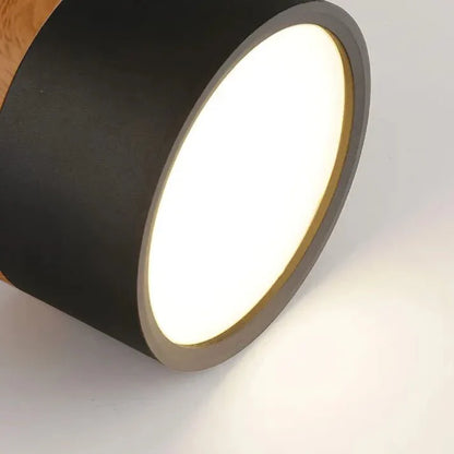 Nordic Cilinder LED plafondlampen voor gangen